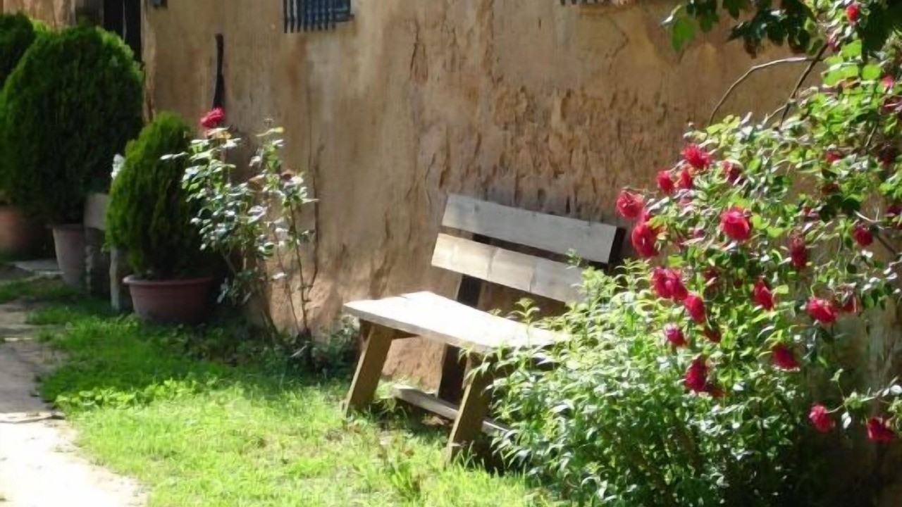 Photo of Patio Balcony in Sant Hilari Sacalm