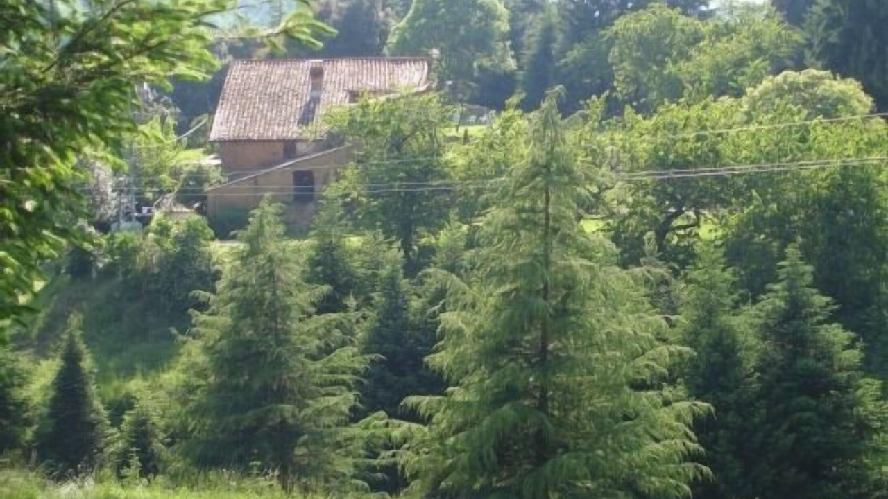 Photo of Outdoor in Sant Hilari Sacalm