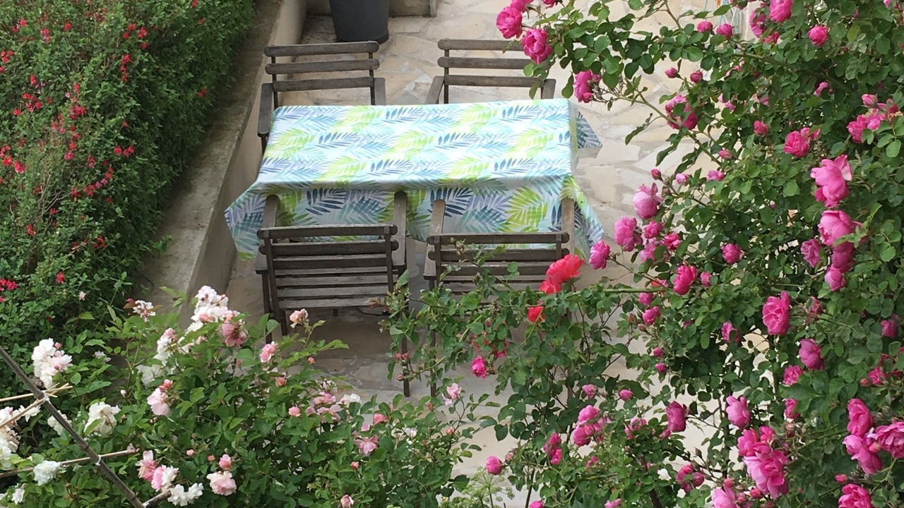 Photo of Outdoor in Chatou