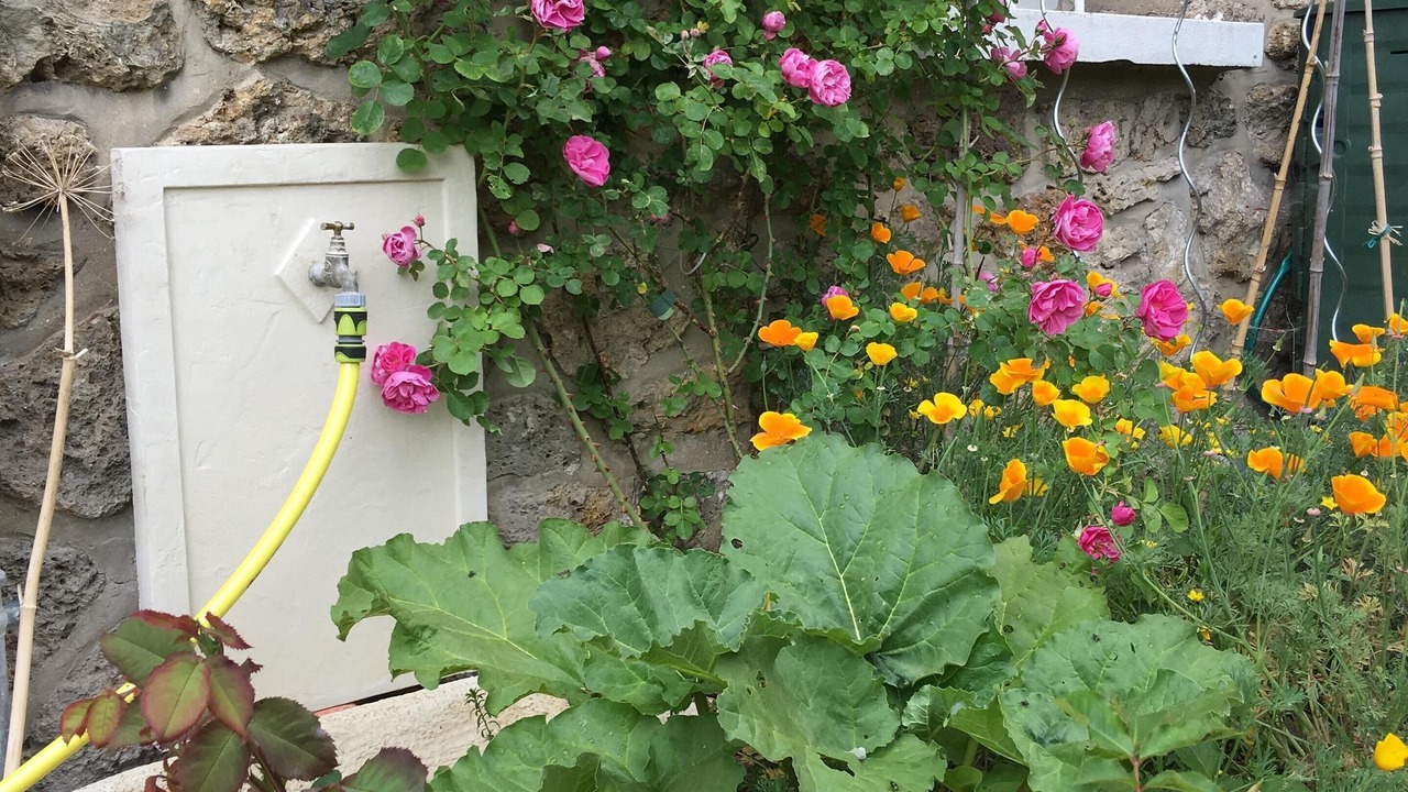 Photo of Outdoor in Chatou