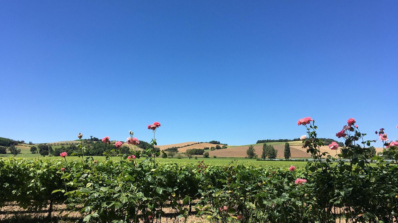 Photo of Outdoor in Rabastens