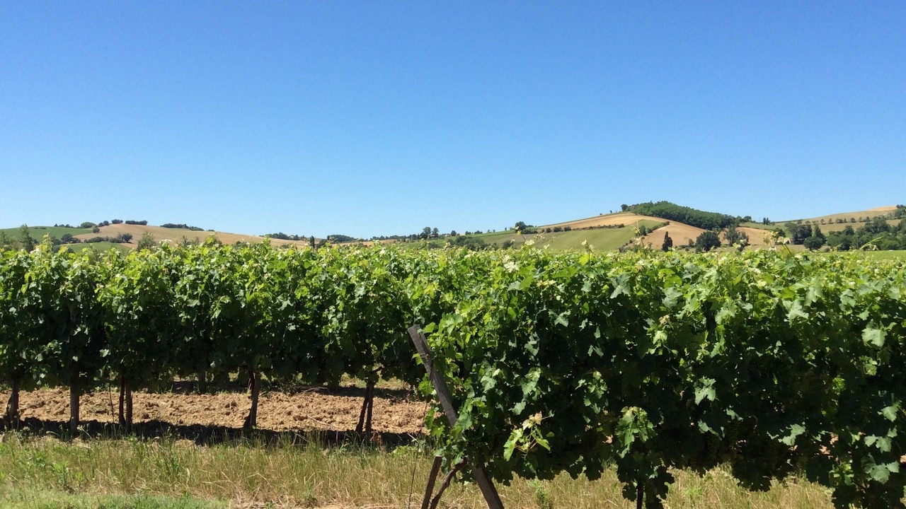 Photo of Outdoor in Rabastens