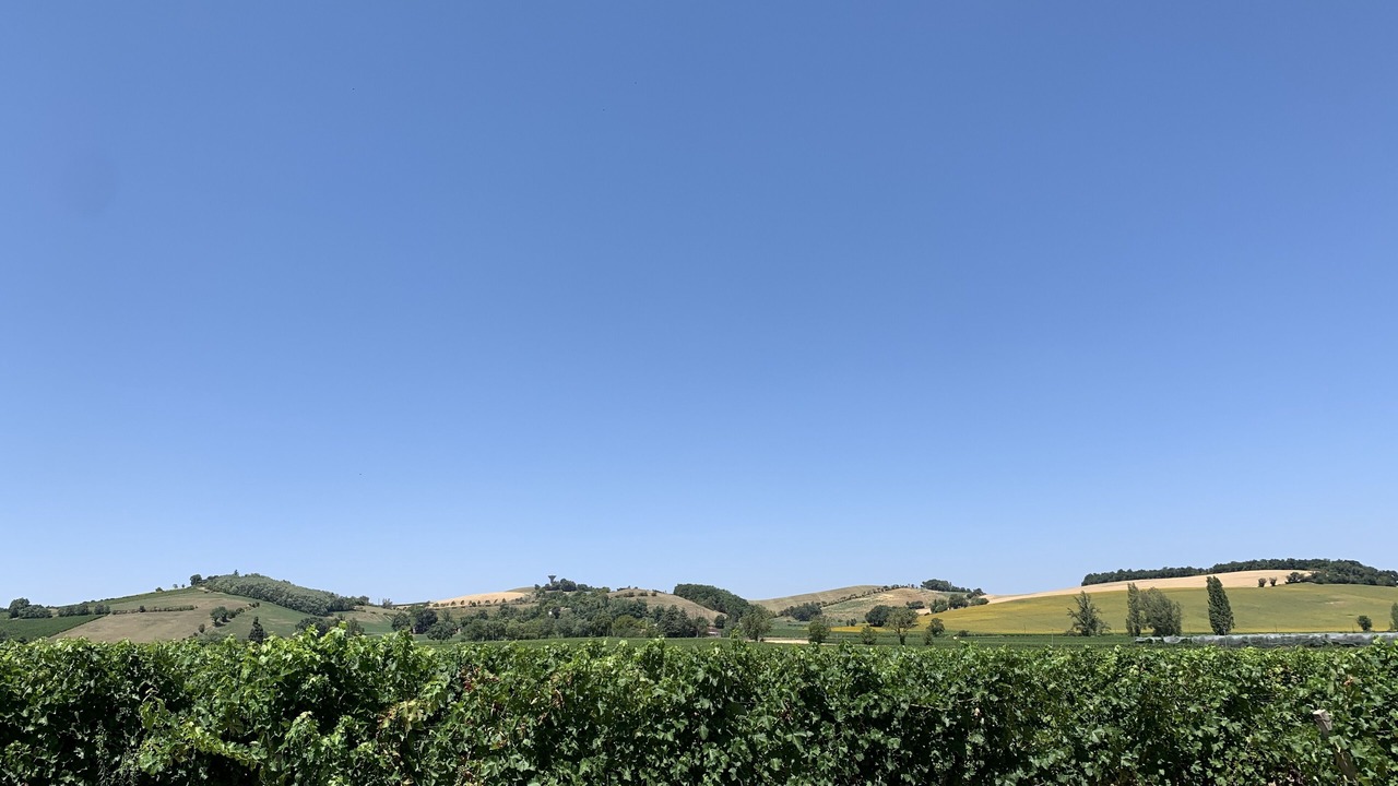 Photo of Outdoor in Rabastens