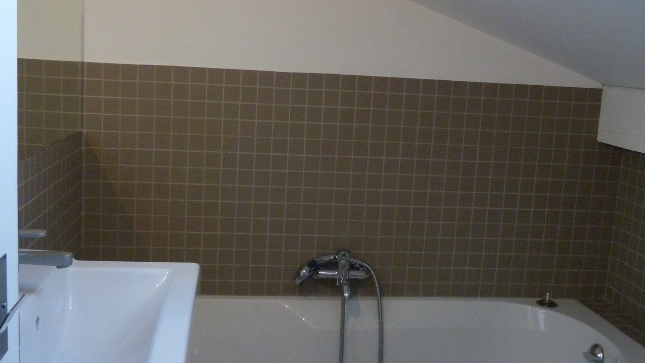 Photo of Bathroom in Veyrier-du-Lac