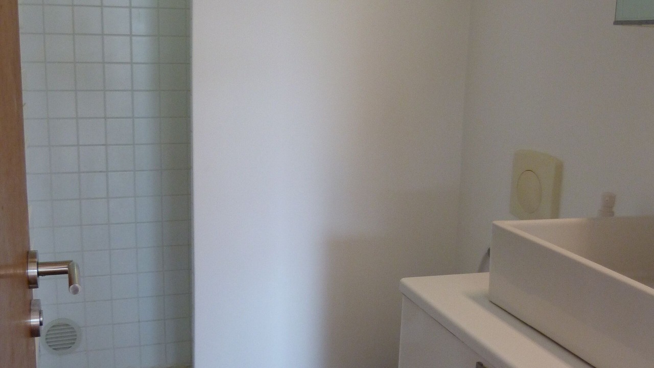Photo of Bathroom in Veyrier-du-Lac