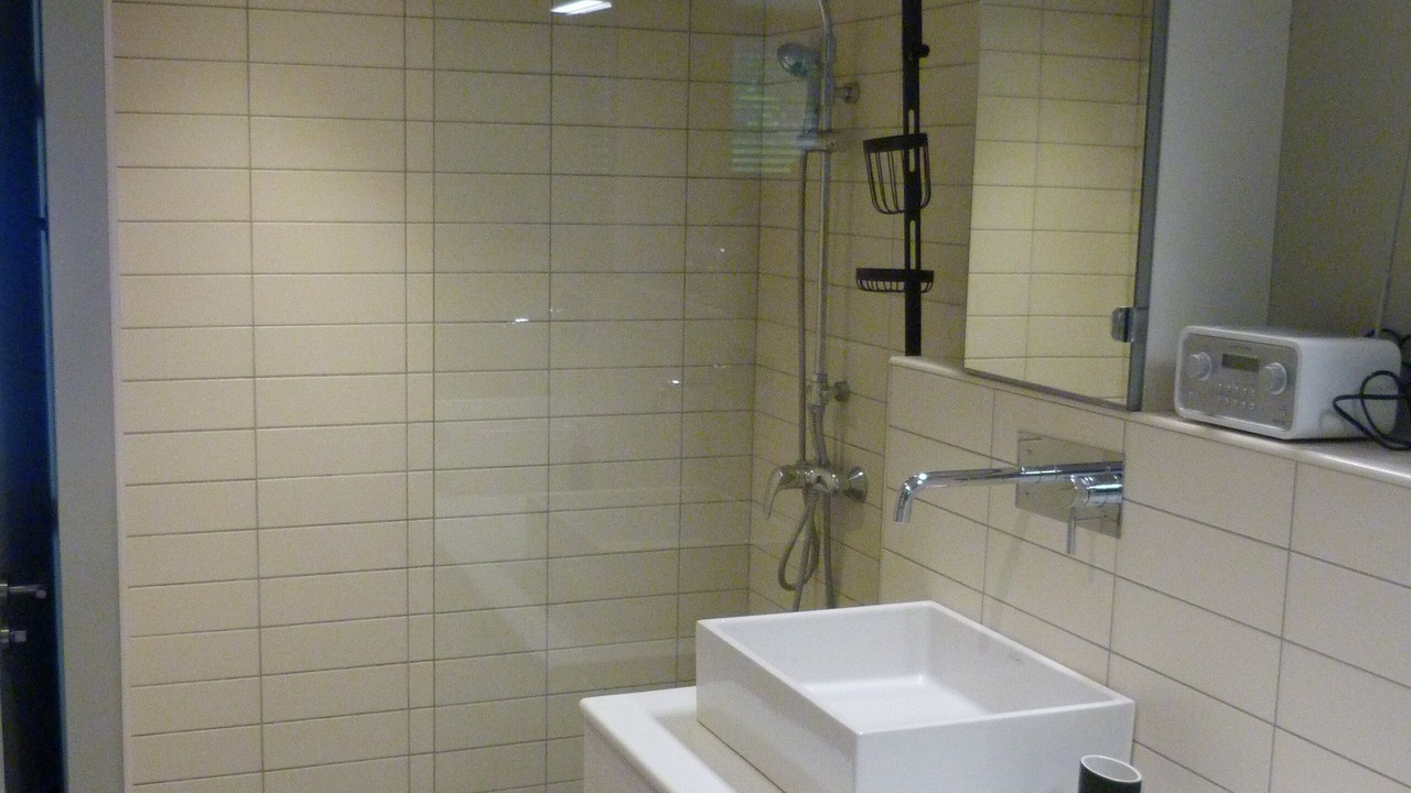 Photo of Bathroom in Veyrier-du-Lac