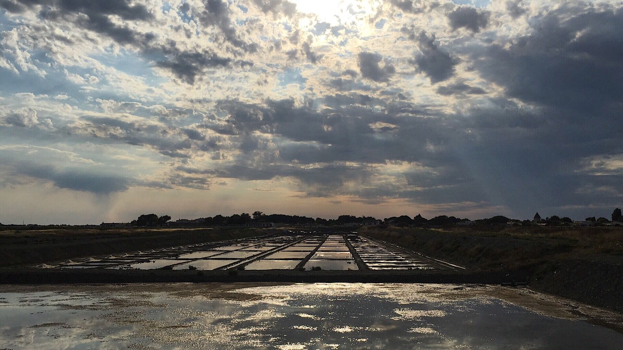 Photo of Others in Loix