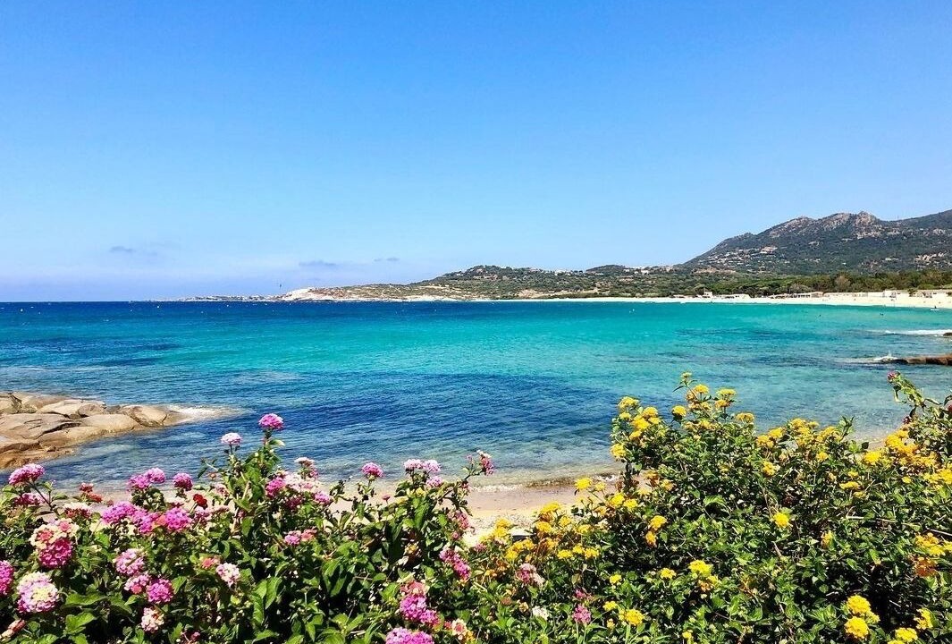 Photo of Others in Algajola