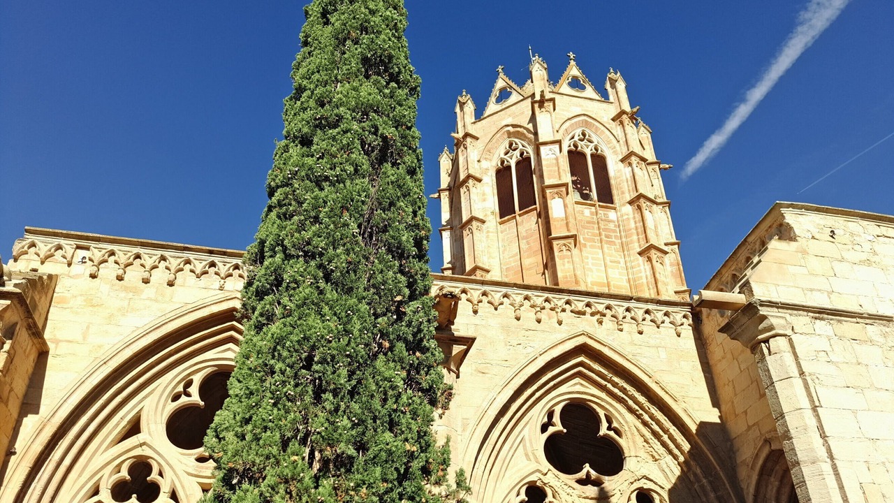 Photo of Others in Guimera
