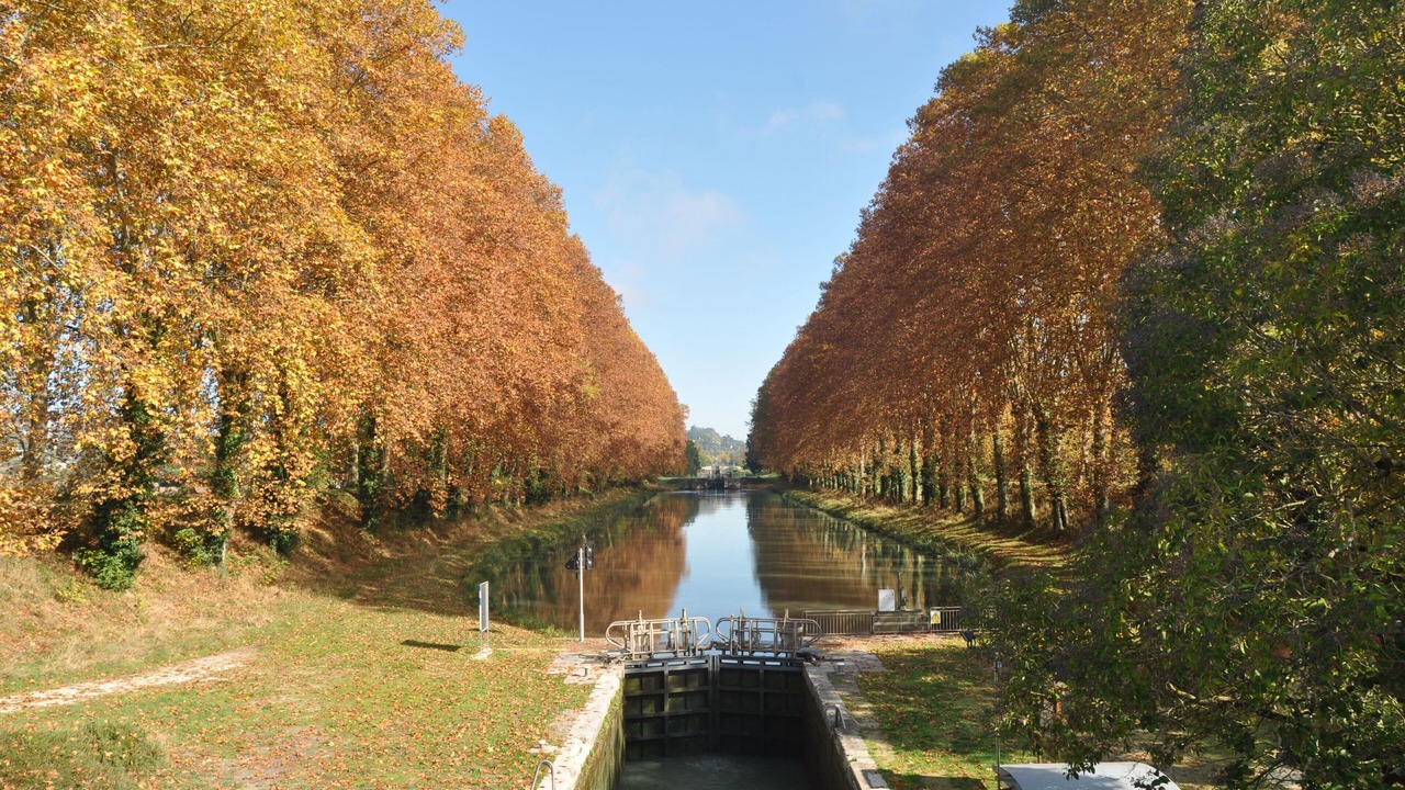 Photo of Outdoor in Saint-Salvy