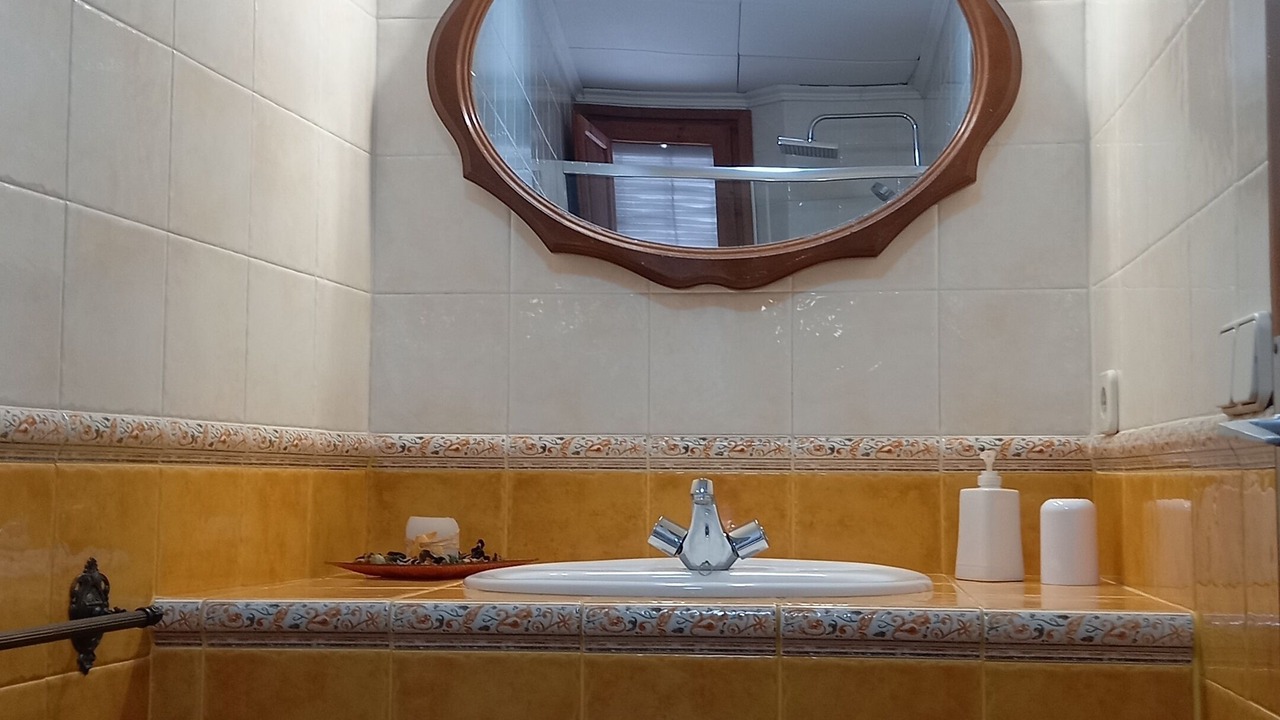 Photo of Bathroom in Olesa de Bonesvalls
