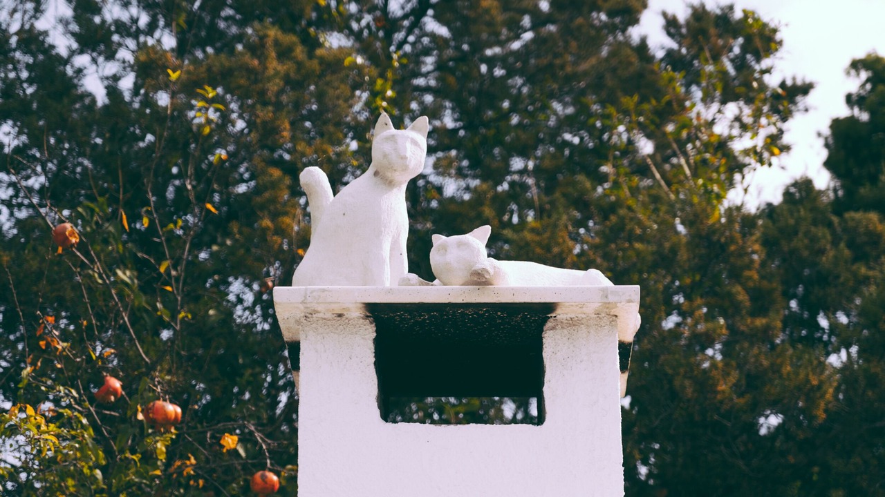 Photo of Outdoor in Bacina