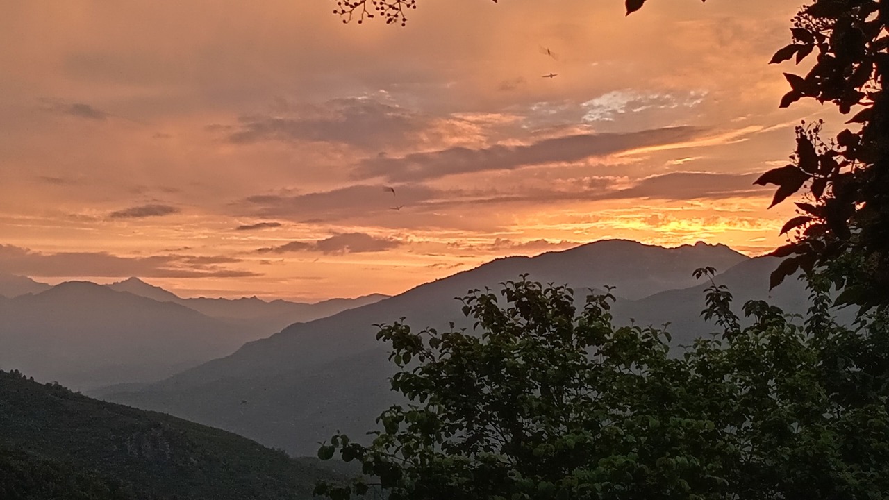 Photo of Others in Castello-di-Rostino