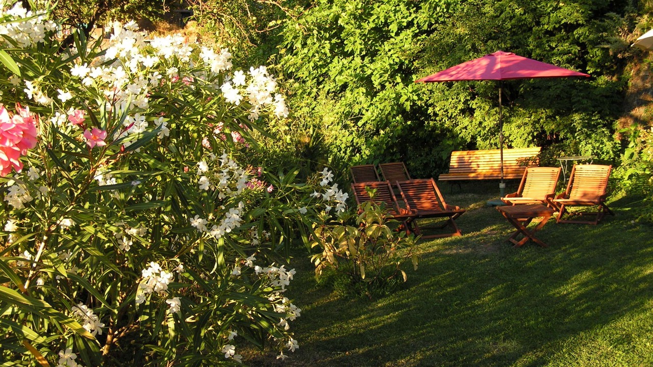 Photo of Outdoor in Castello-di-Rostino