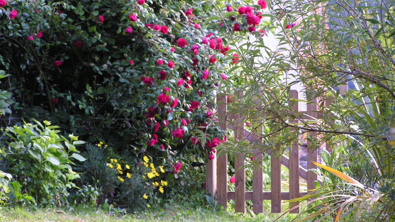 Photo of Outdoor in Castello-di-Rostino