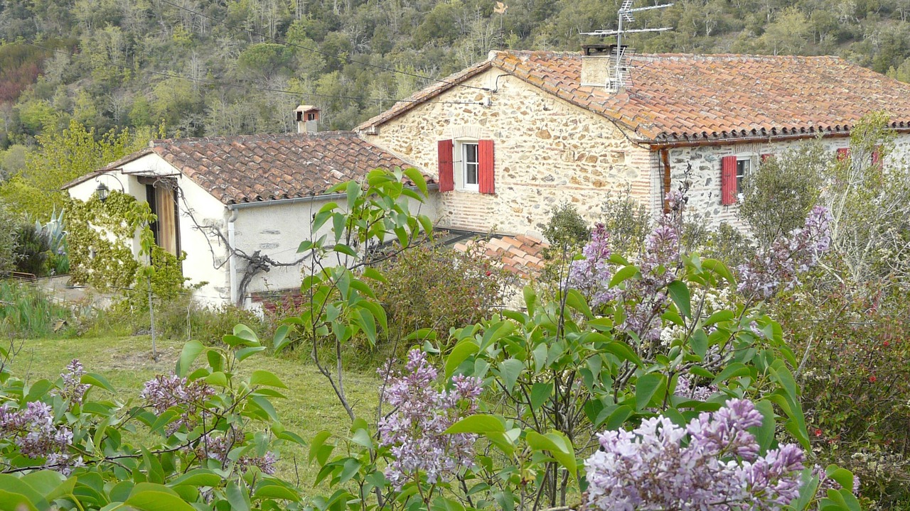 Photo of Outdoor in Reynes