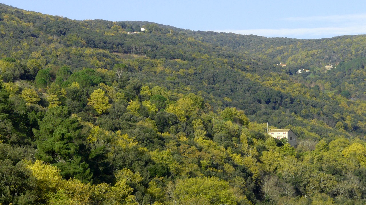 Photo of Outdoor in Reynes