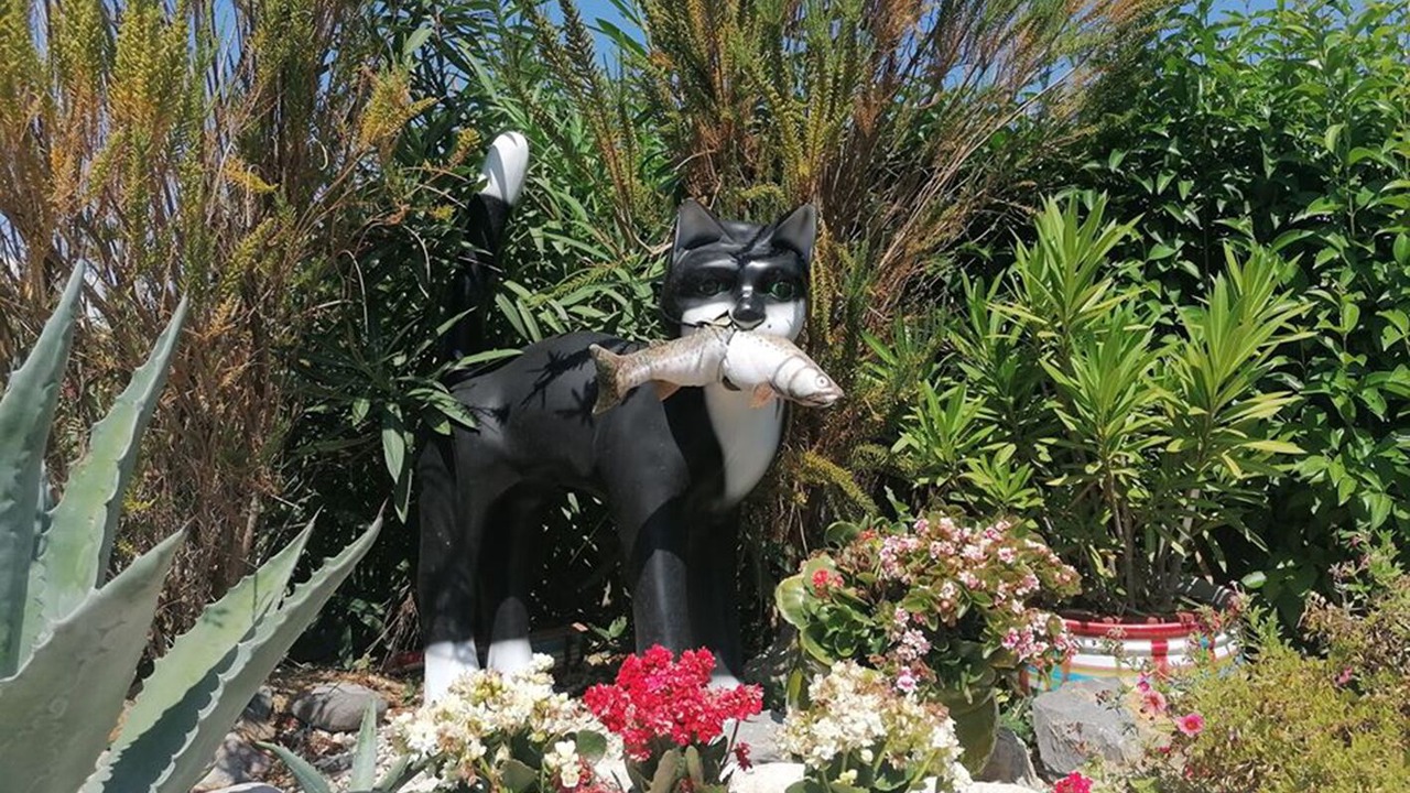 Photo of Outdoor in Lespignan