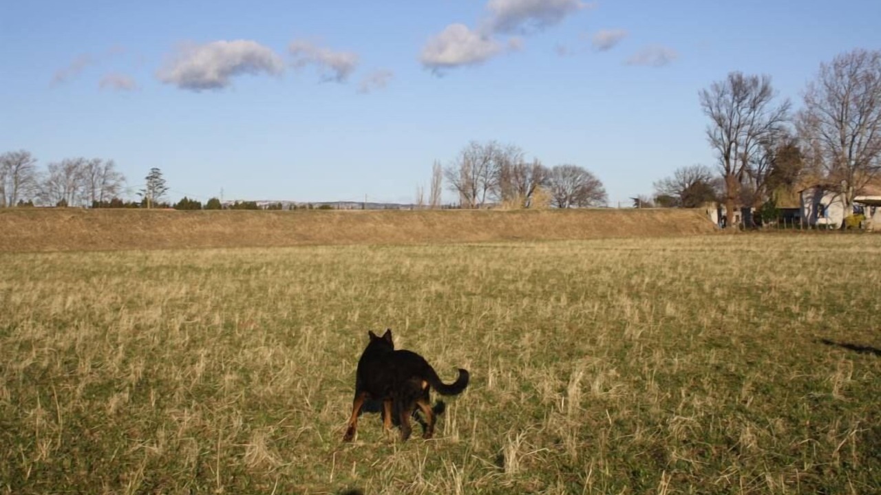 Photo of Others in Arles