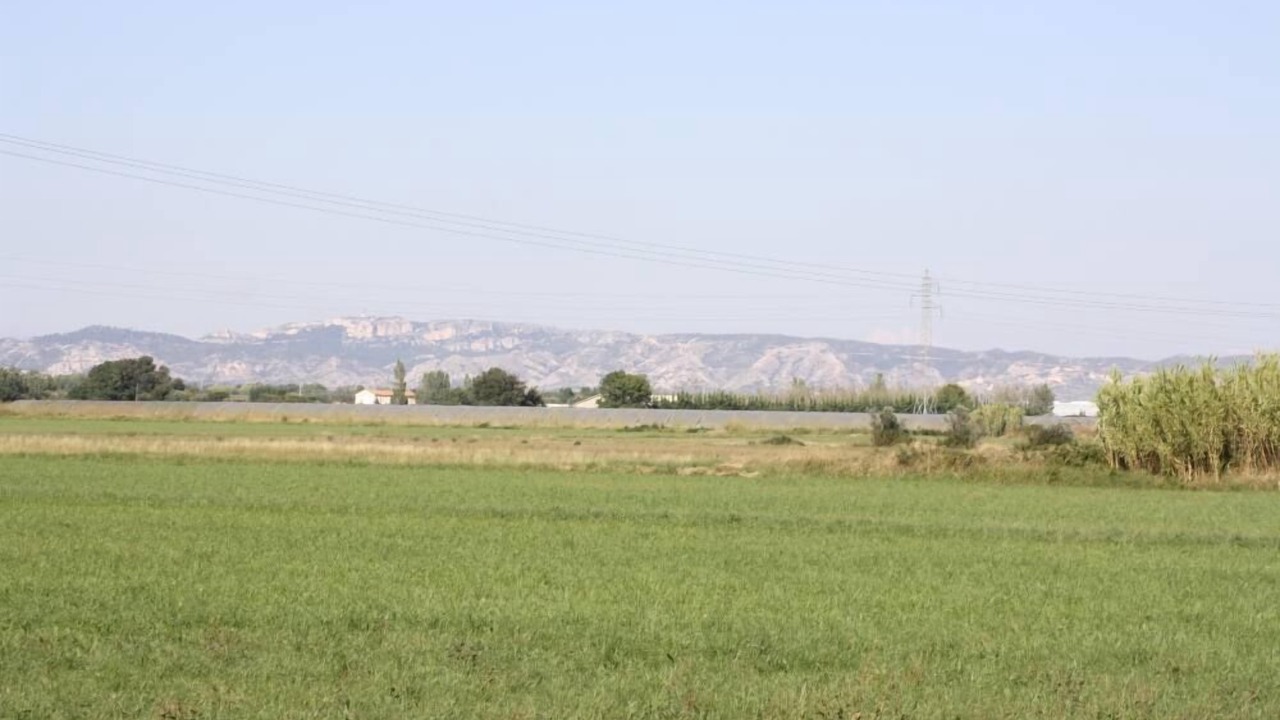 Photo of Outdoor in Arles