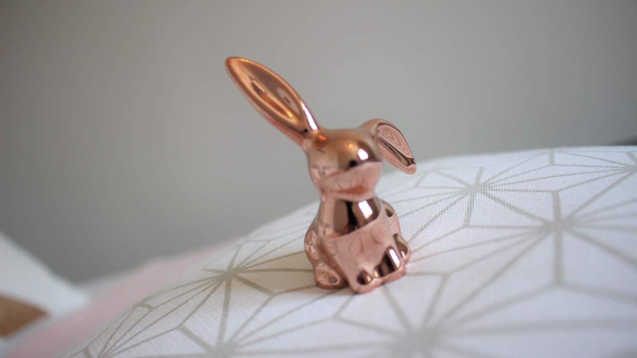 Photo of Others in Arras