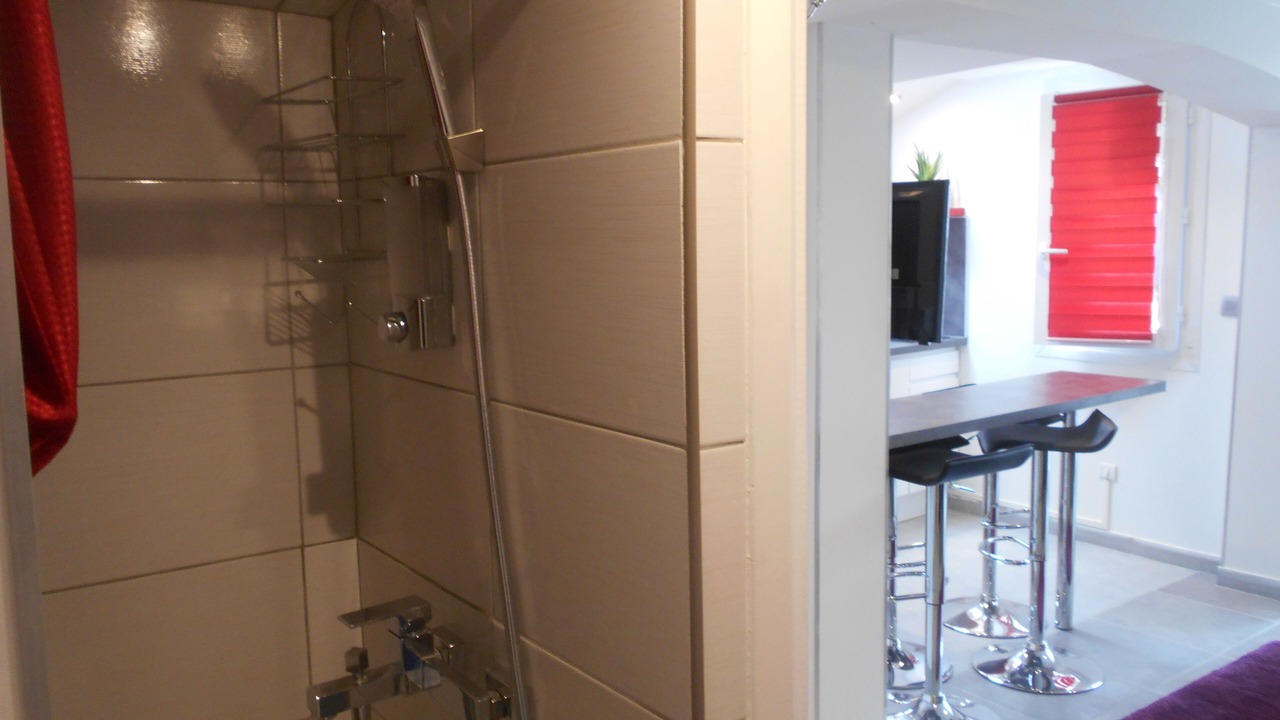 Photo of Bathroom in Meyzieu