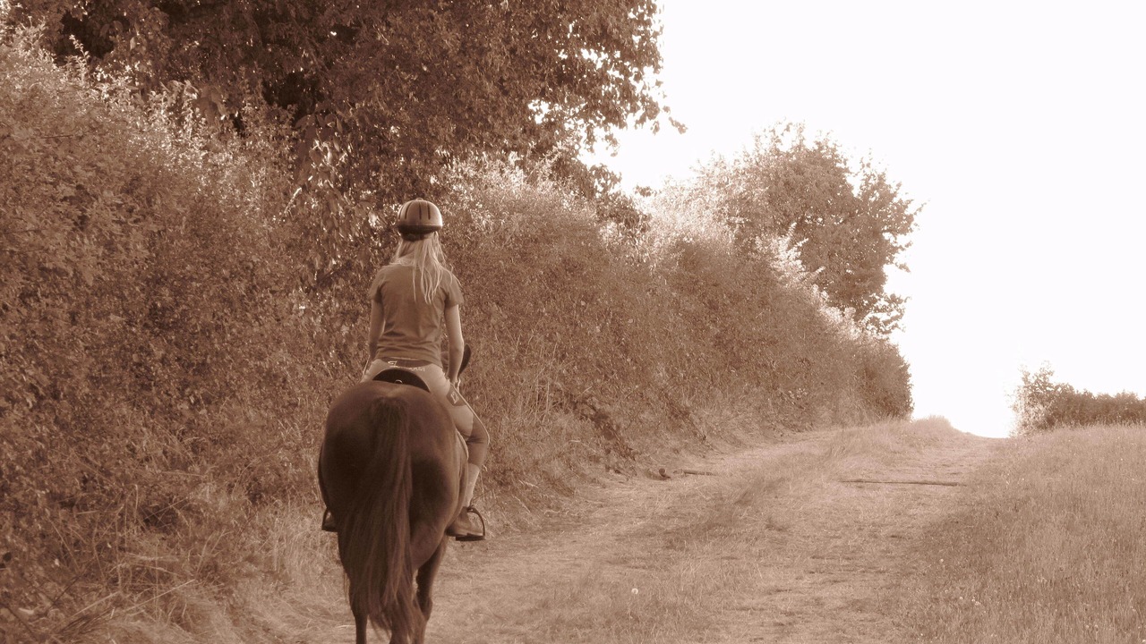 Photo of Others in Pompaire