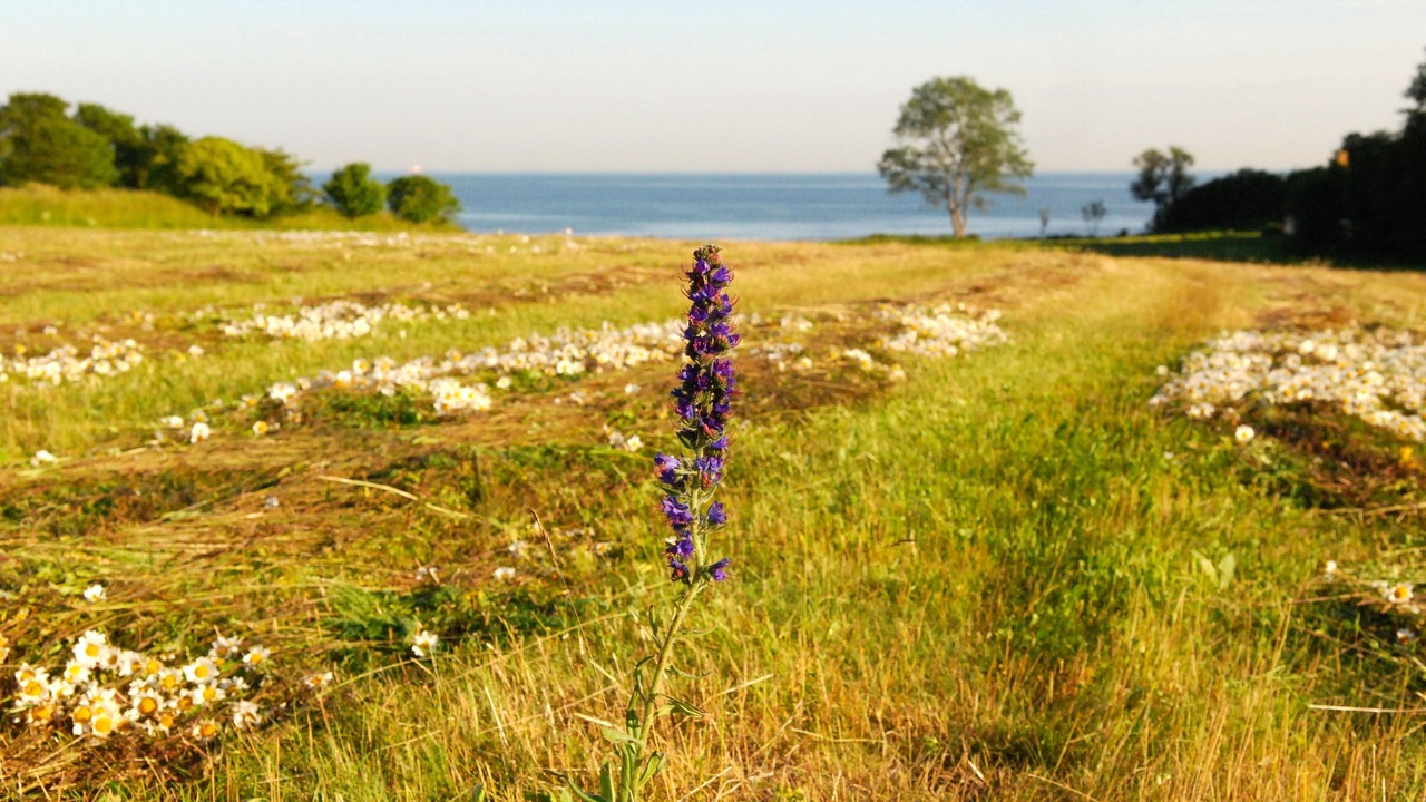 Photo of Outdoor in Busene