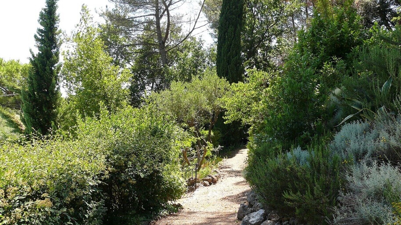Photo of Outdoor in Lorgues