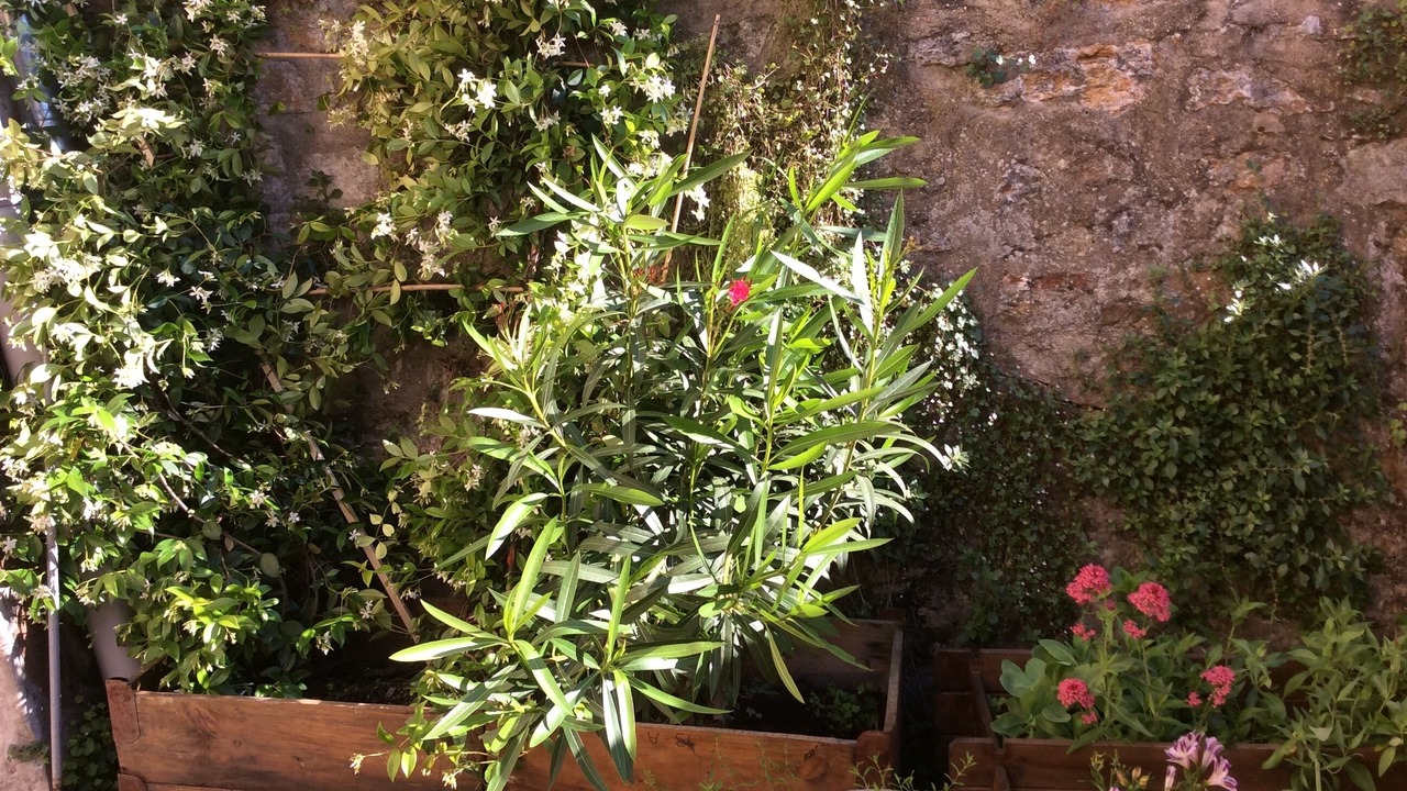 Photo of Outdoor in Old Lyon