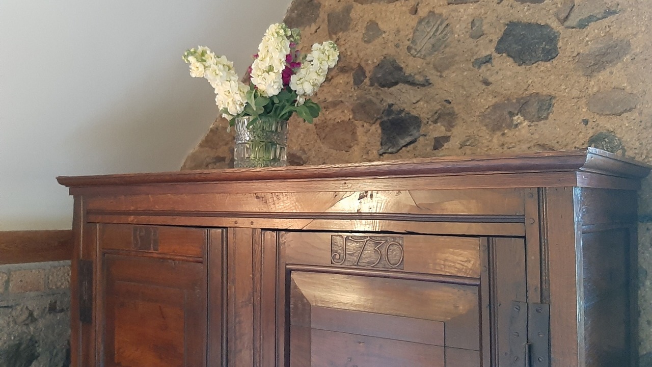 Photo of Others in Newton Abbot