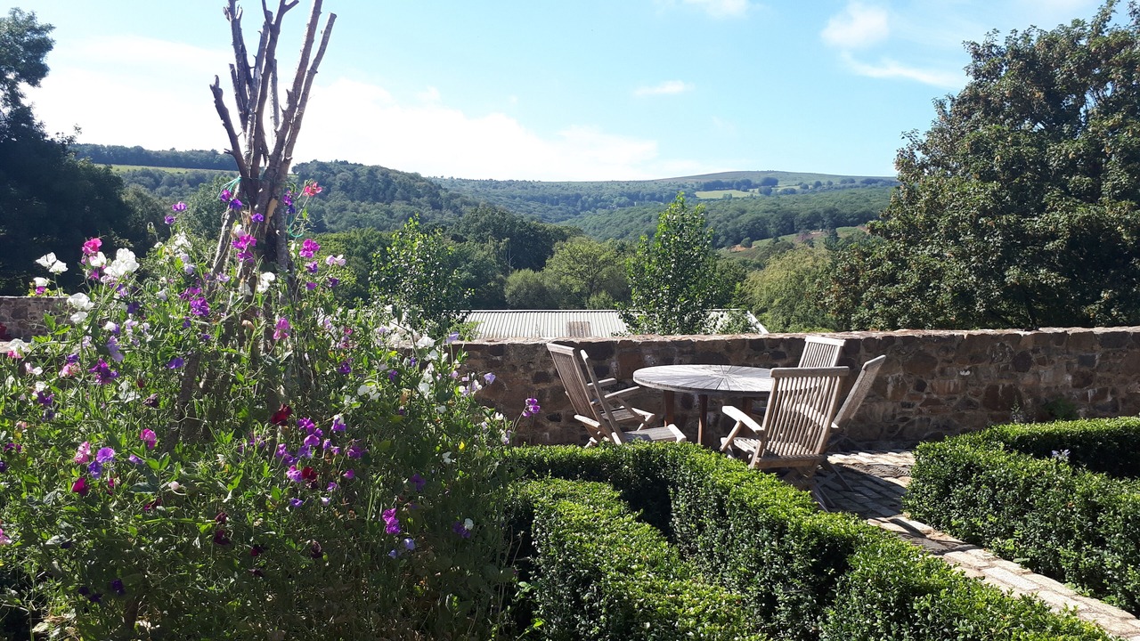 Photo of Others in Newton Abbot