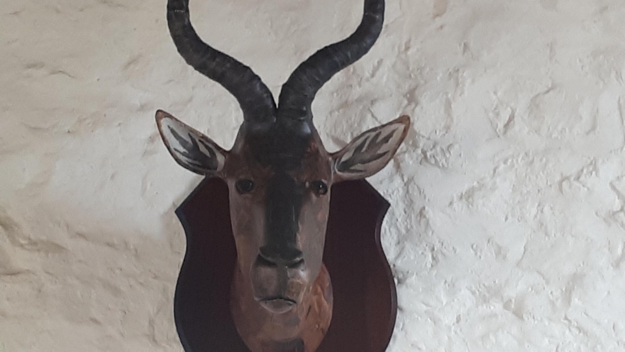 Photo of Bedroom in Newton Abbot