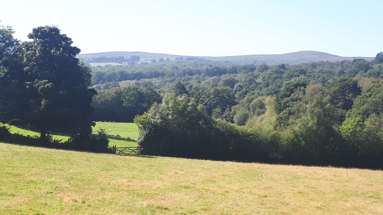 Photo of Others in Newton Abbot