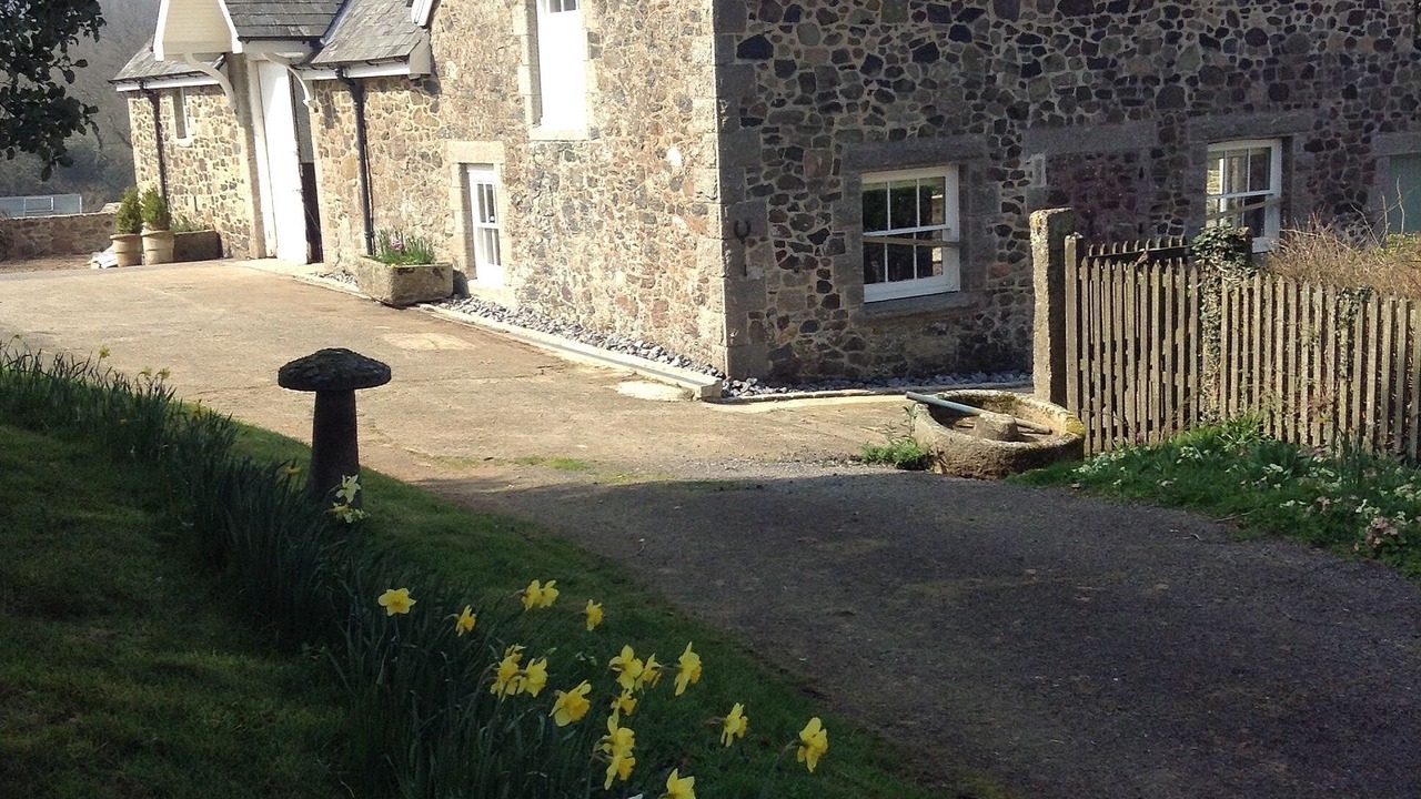 Photo of Others in Newton Abbot