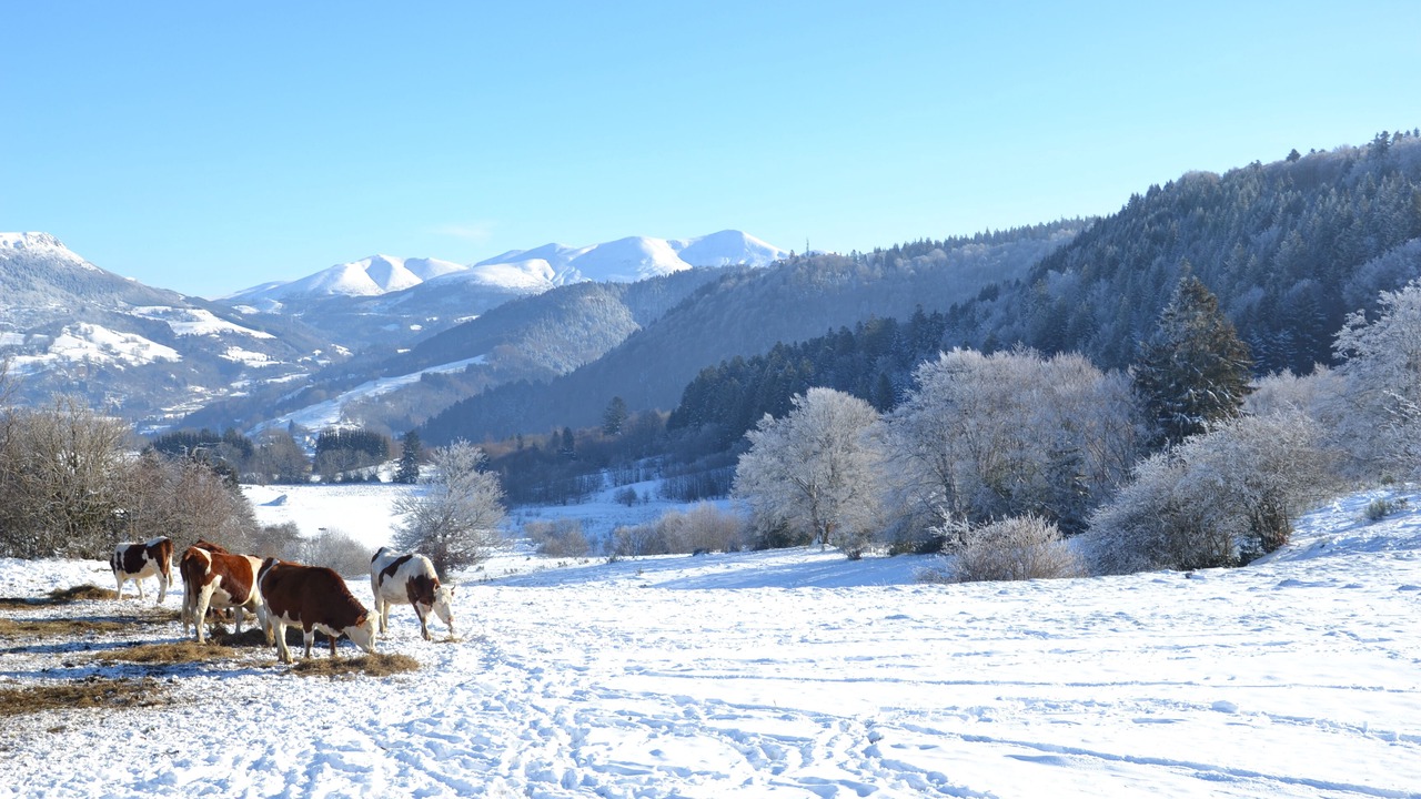 Photo of Others in Saint-Sauves-d'Auvergne