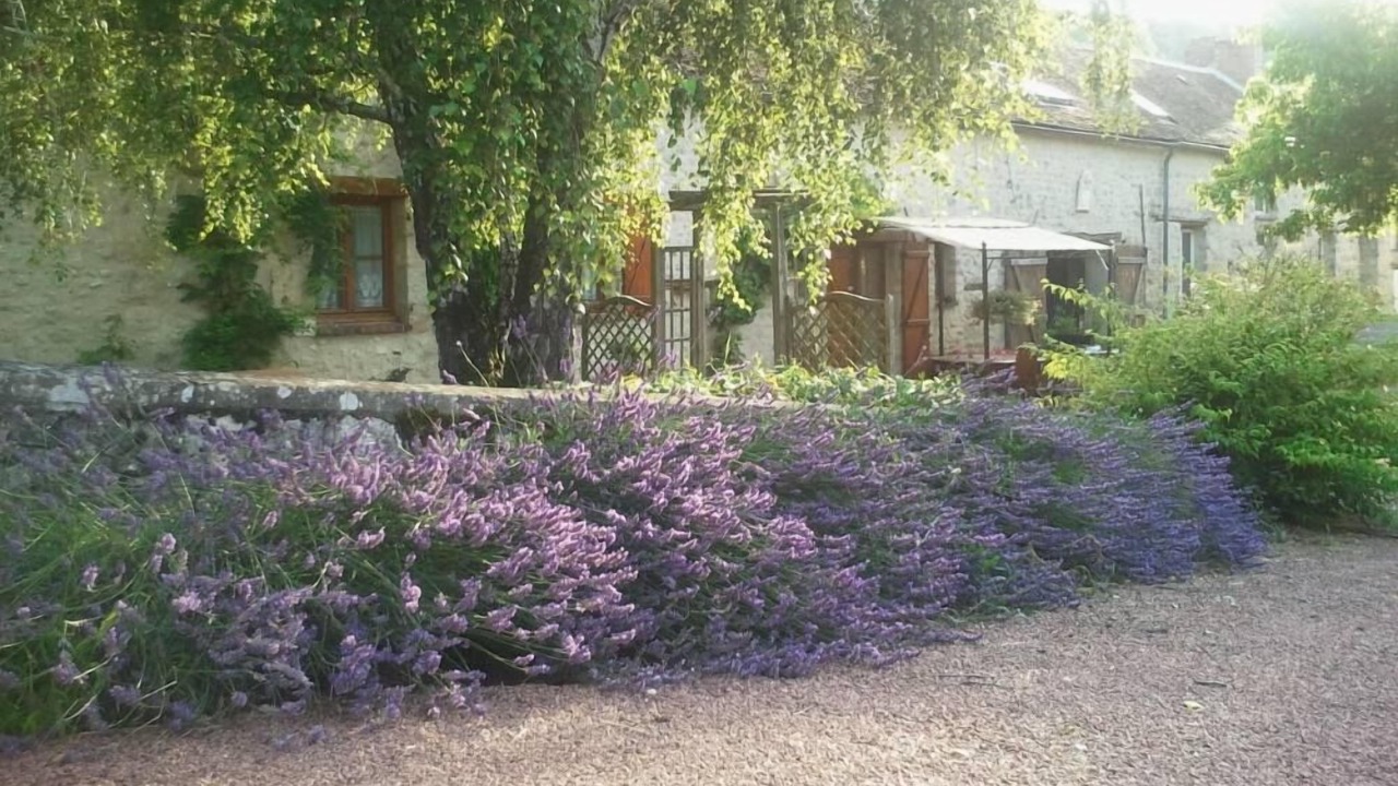 Photo of Outdoor in Poligny