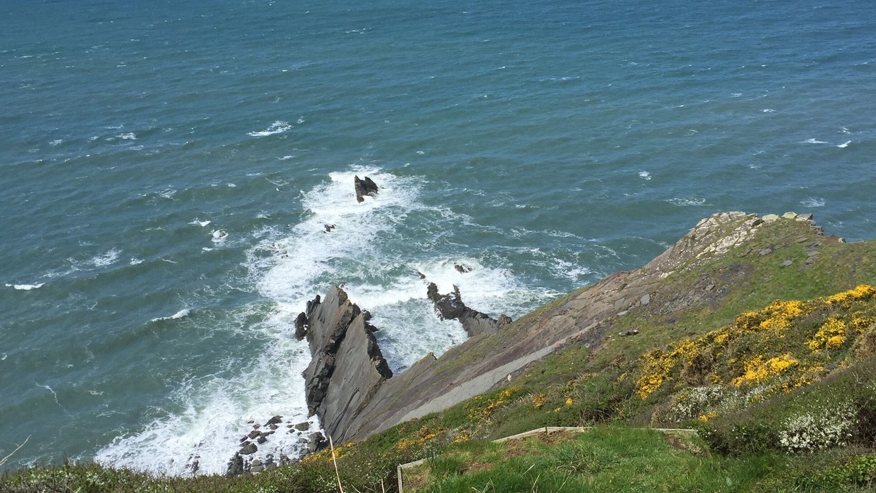 Photo of Others in Appledore