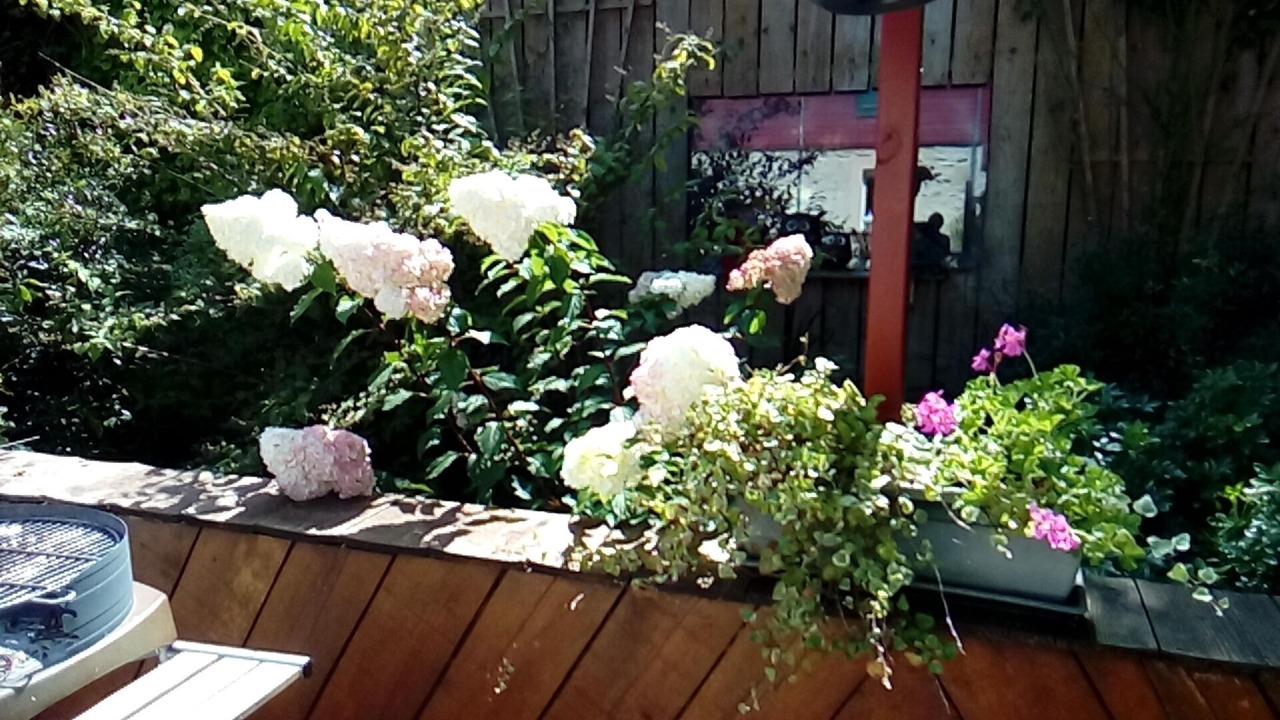 Photo of Outdoor in Saint-Thois