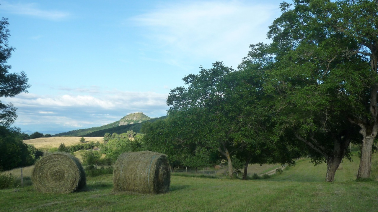 Photo of Outdoor in Saint-Diery