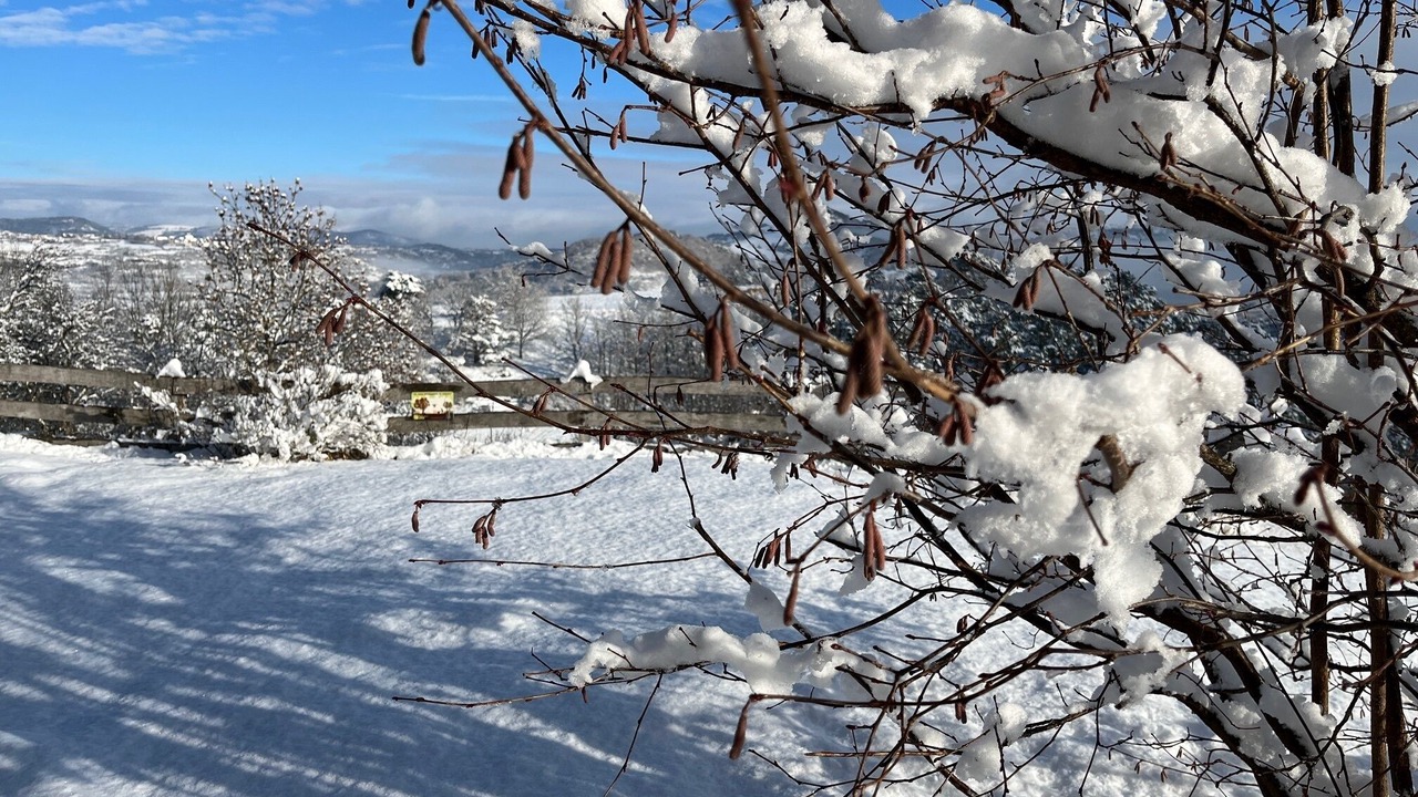 Photo of Outdoor in Saint-Diery