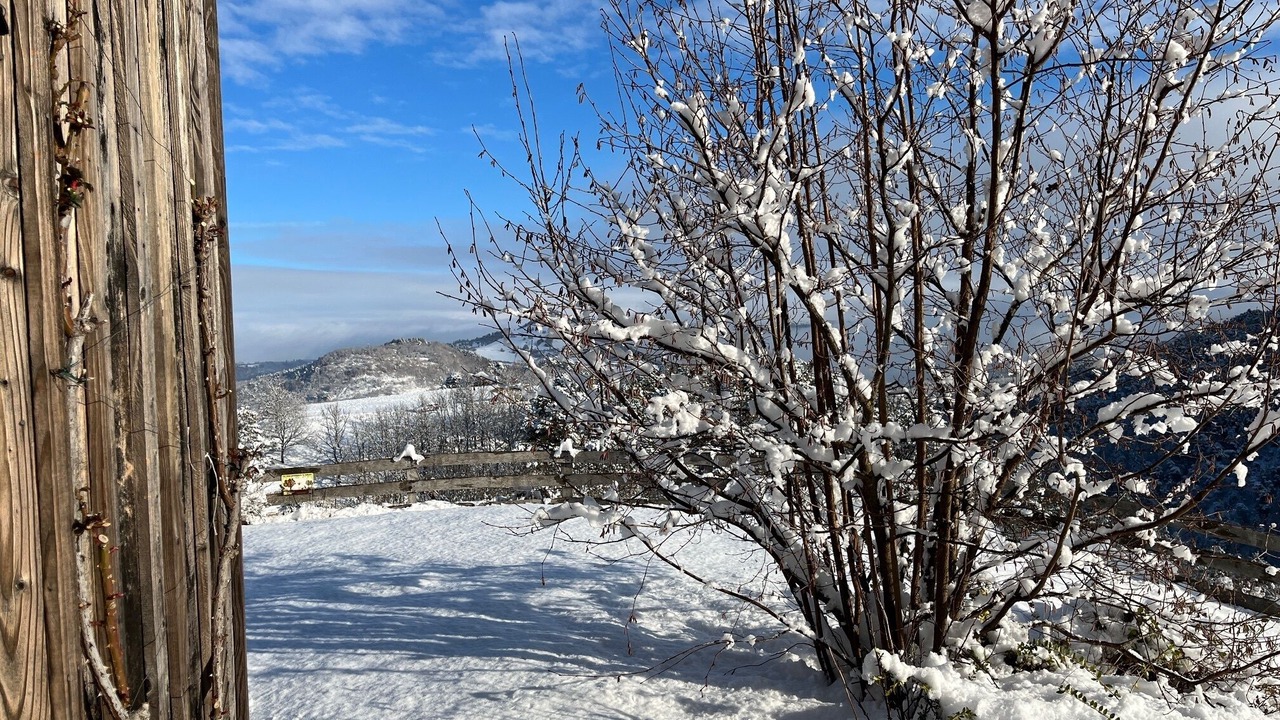 Photo of Outdoor in Saint-Diery