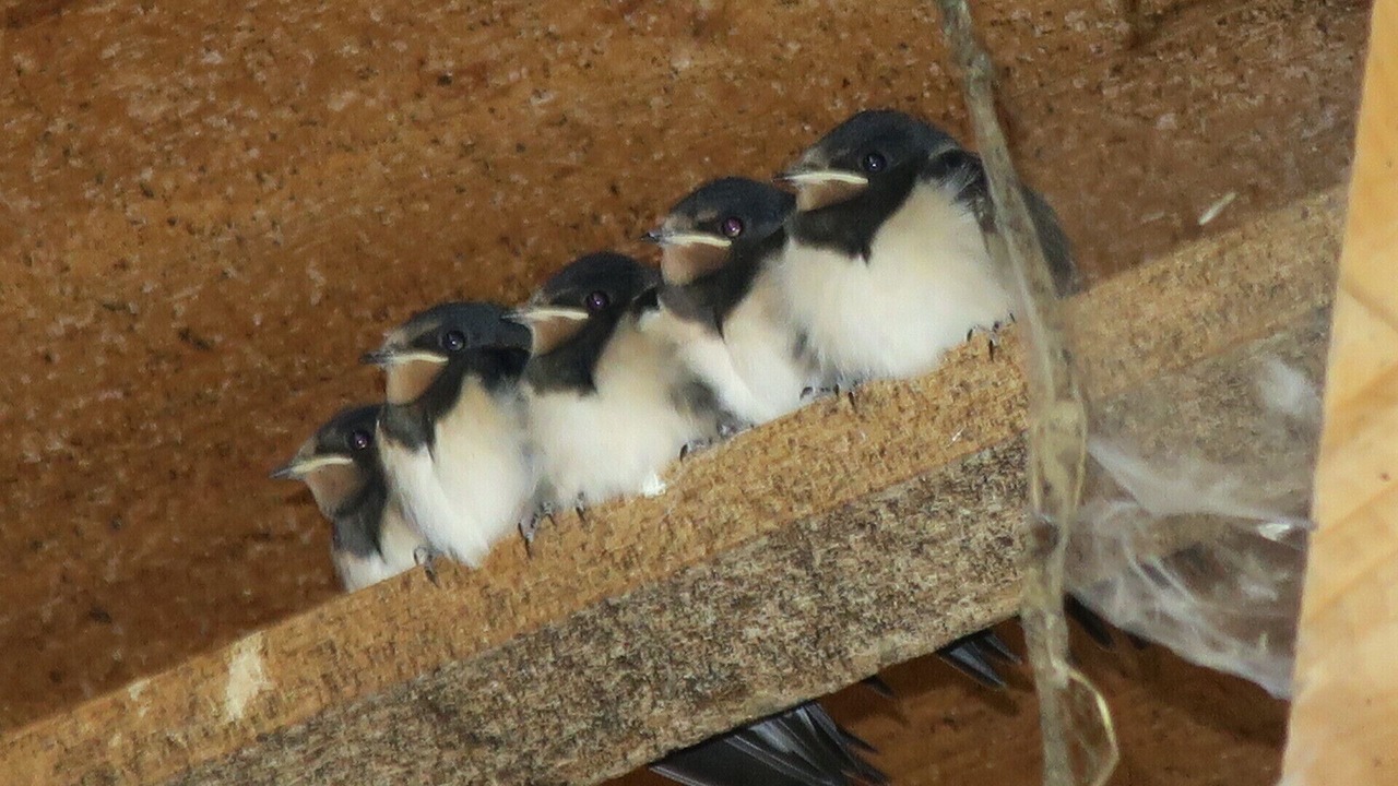Photo of Others in Saint-Diery