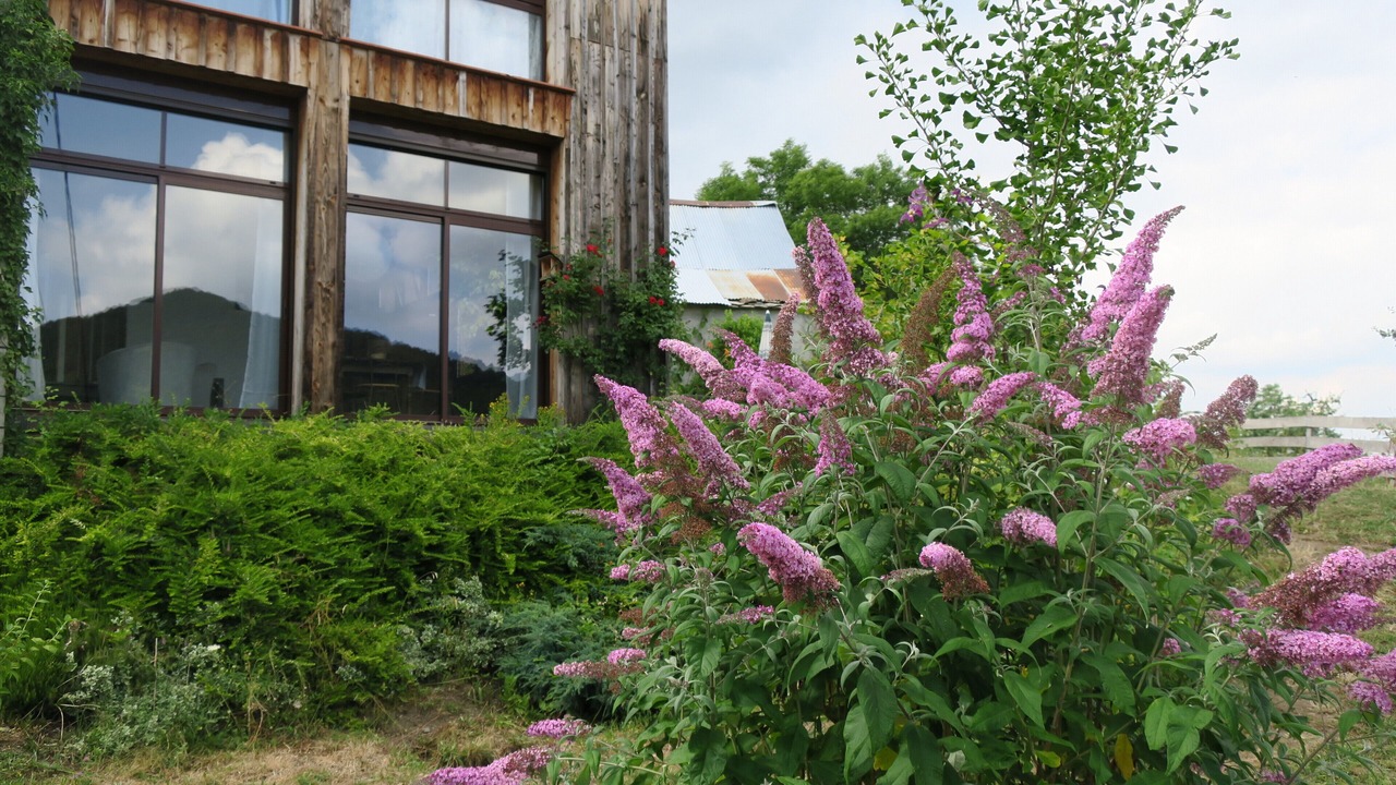 Photo of Outdoor in Saint-Diery