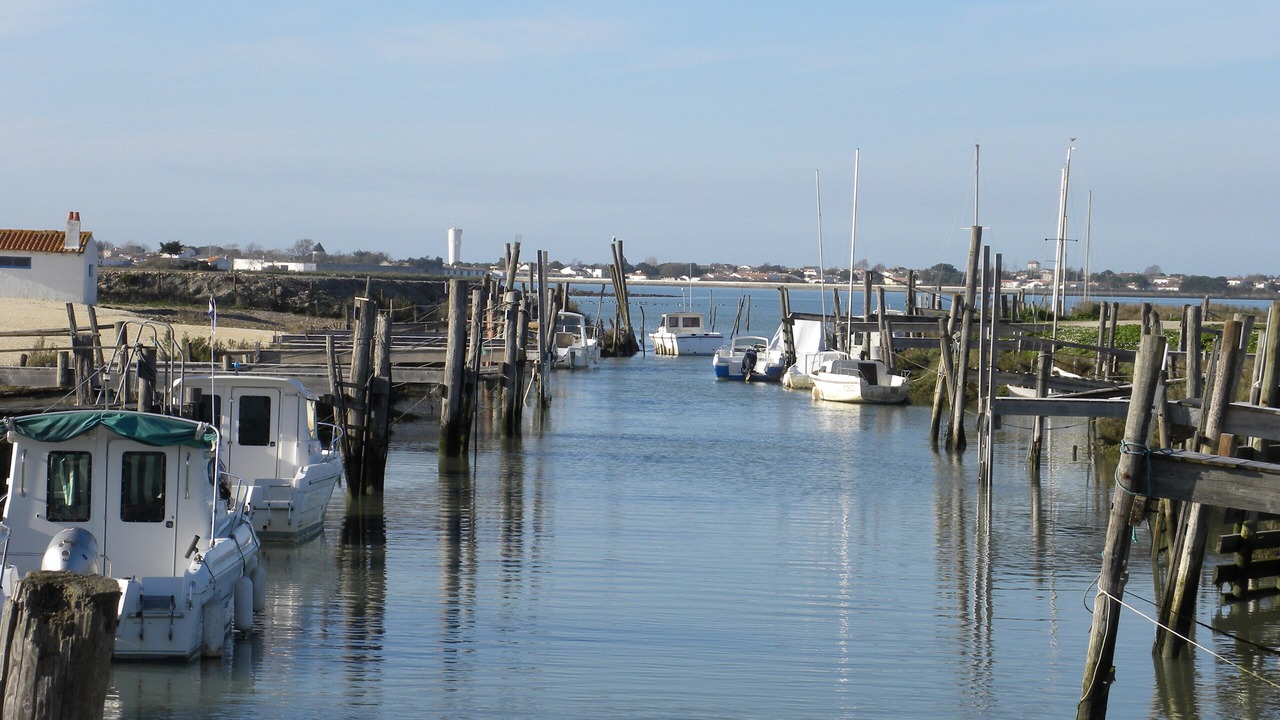 Photo of Others in Rivedoux-Plage