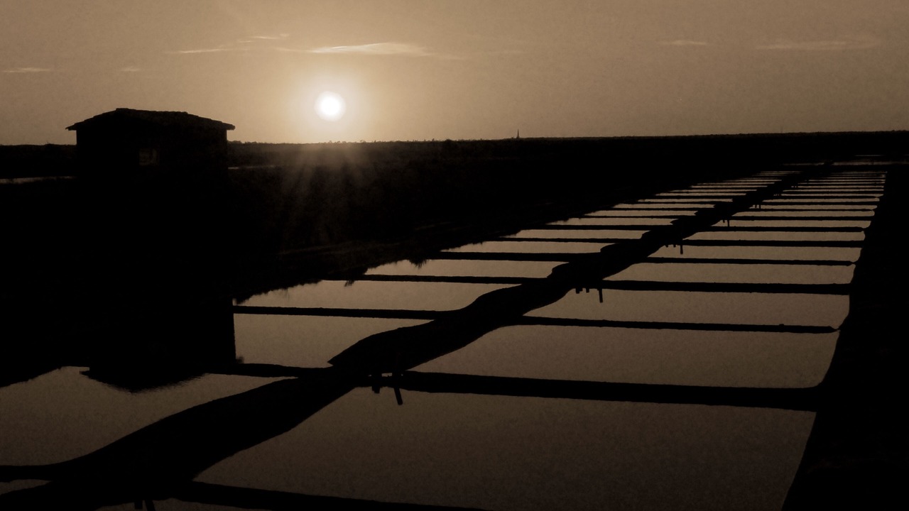 Photo of Others in Rivedoux-Plage