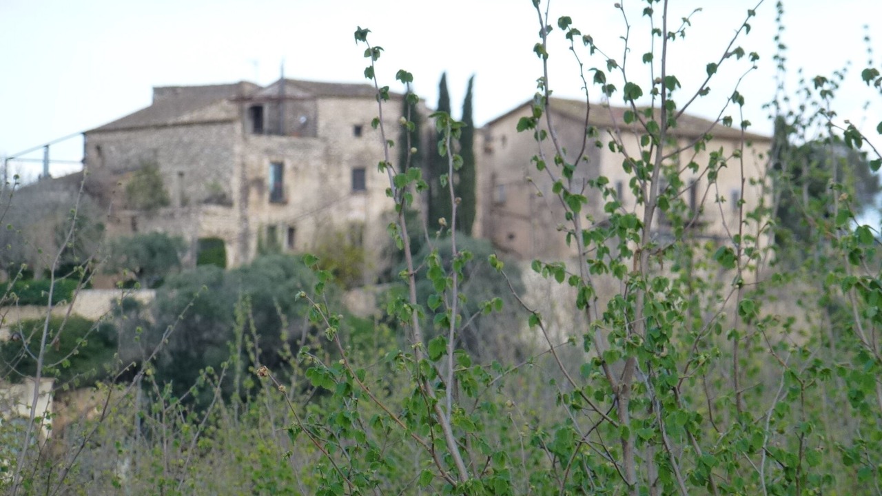 Photo of Outdoor in La Riera de Gaia