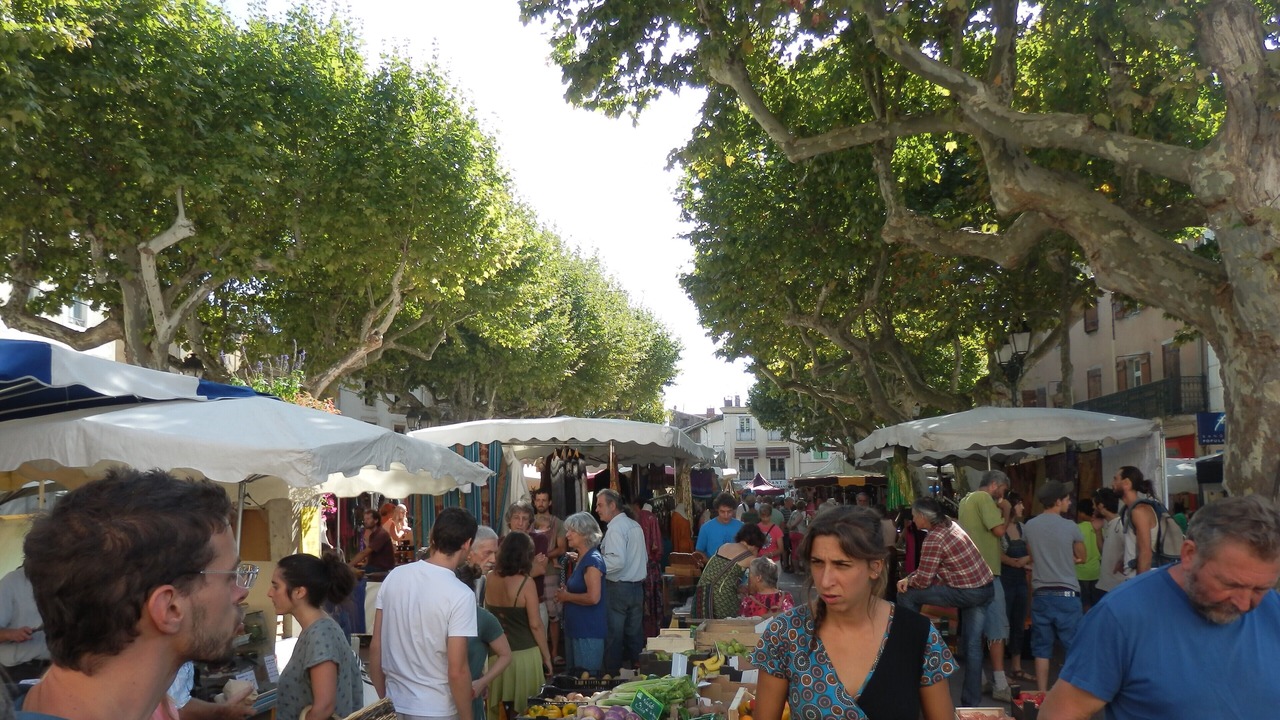 Photo of Others in Montazels
