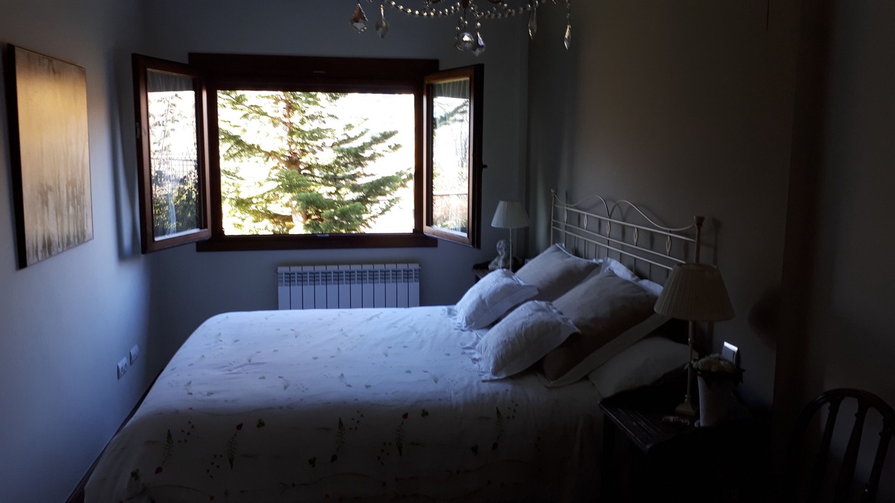 Photo of Bedroom in Panticosa