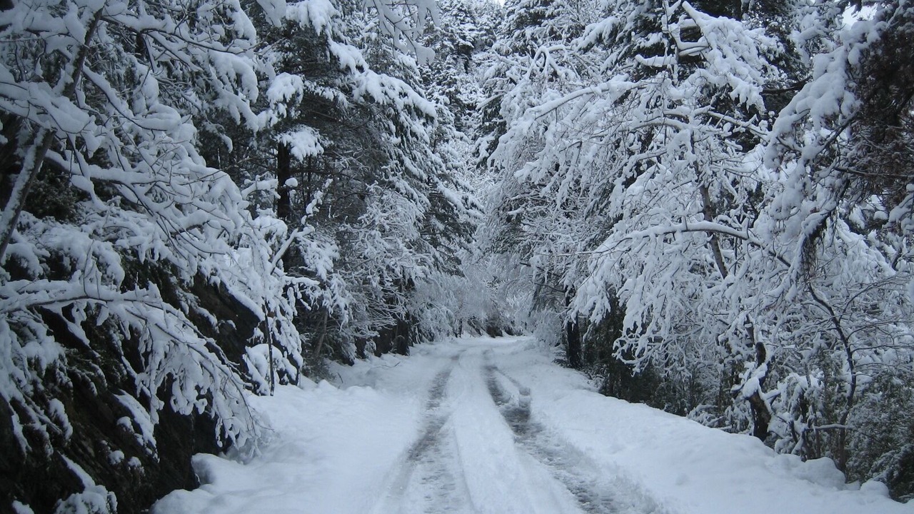 Photo of Others in Panticosa